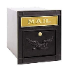 Black Column Mailbox with Eagle Door