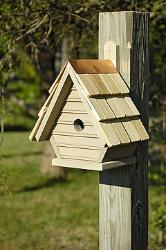 Chick Birdhouse